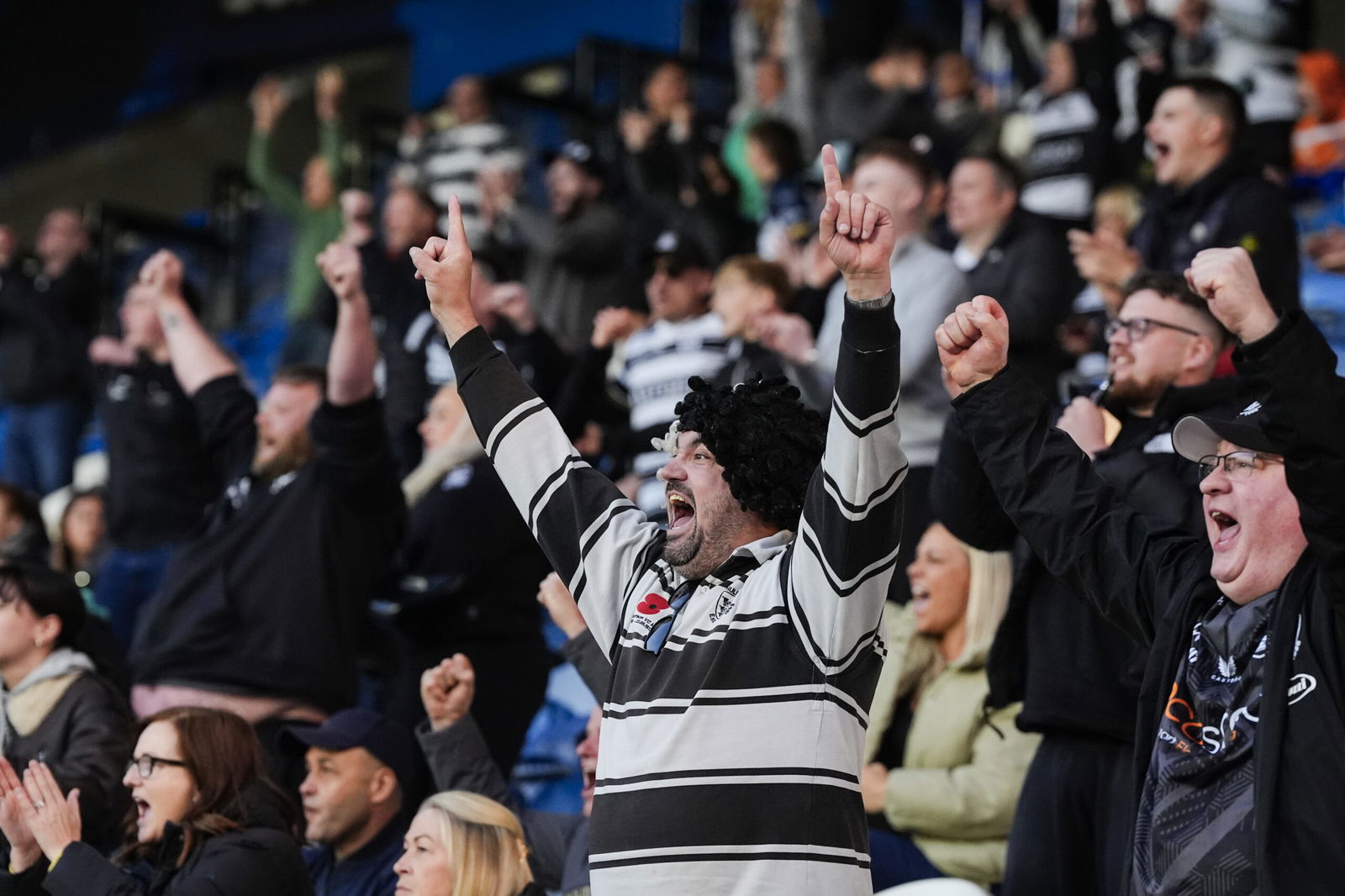 Hull FC Fan