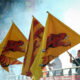 Catalans Dragons