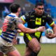 Warrington Wolves