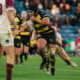 York Knights